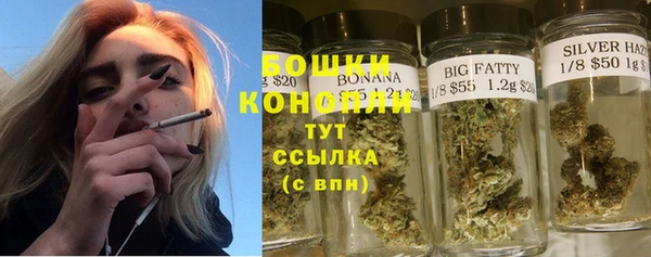молекула духа Нязепетровск