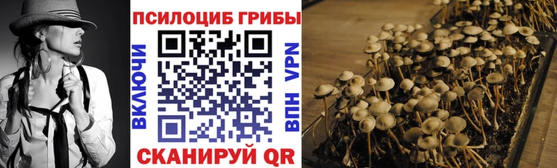 Галлюциногенные грибы мицелий  Сим 
